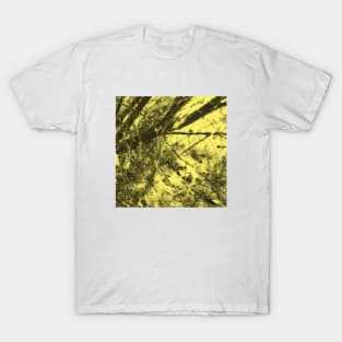 A sunlight tangle under a tree, autumn, fall, leaves, summer, tree, exotic, tan, xmas, nature, christmas, yellow, T-Shirt